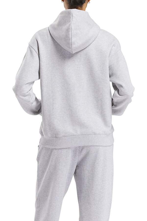 Clothing Reebok Hoodie Blue Серый 026