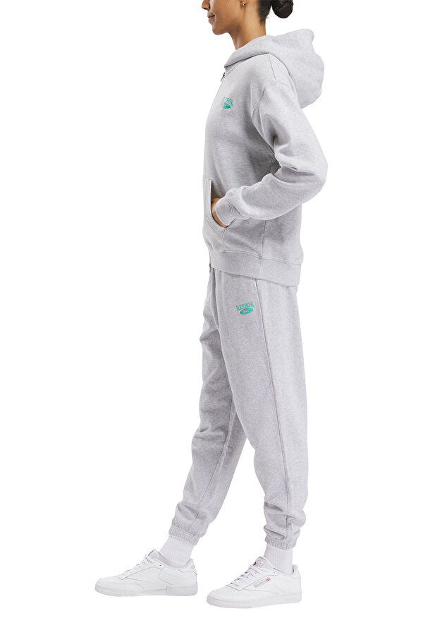 Clothing Reebok Hoodie Blue Серый 026