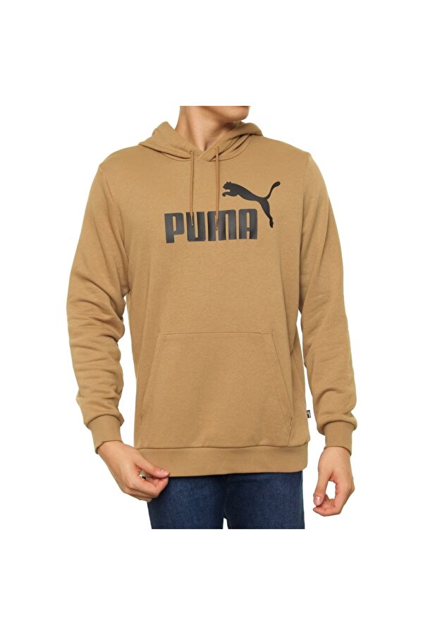 ESS Big Logo Hoodie Erkek Kapişonlu Sweatshirt 58668919