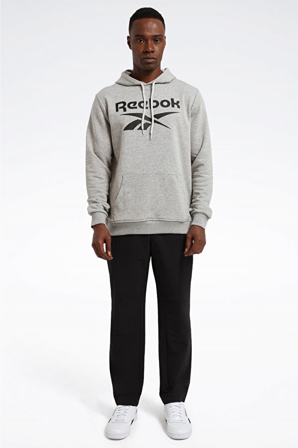 RI FT Big Logo OTH Hood Gri Erkek Sweatshirt