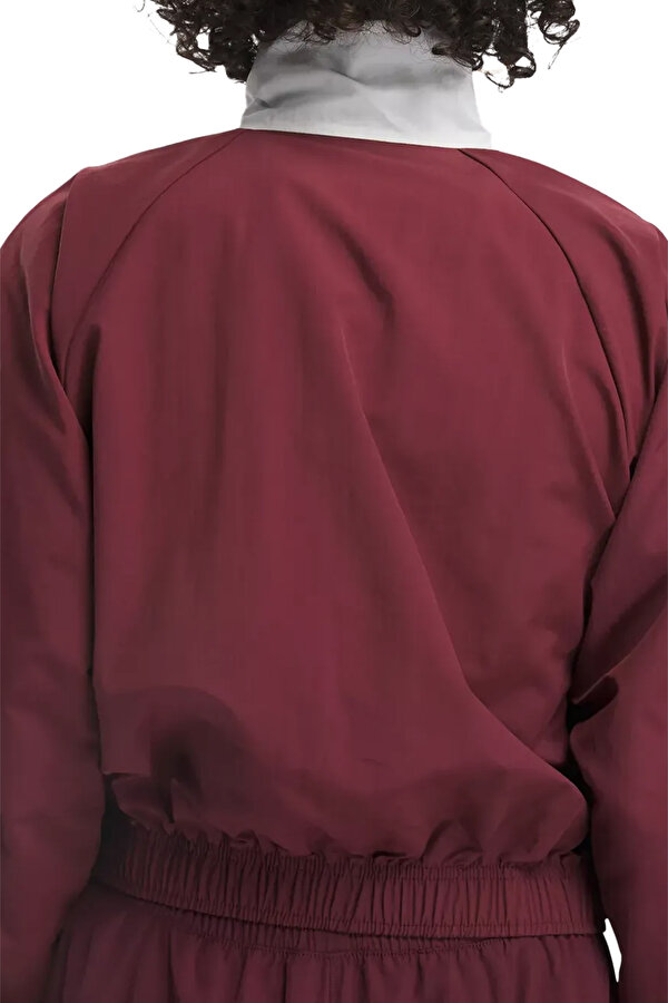 Clothing Reebok Reebok Classics Franchise Бордовый