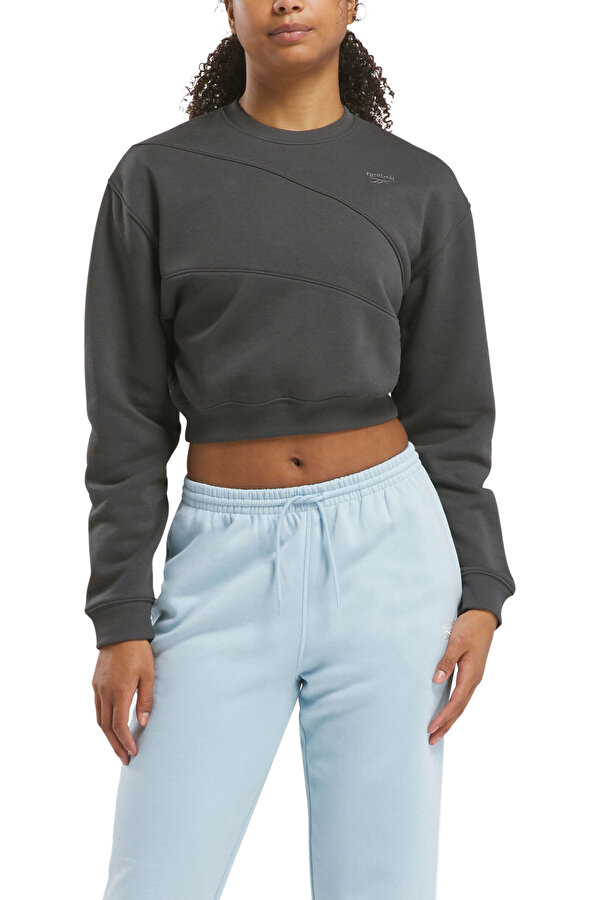 AE VECTOR LAYER Antrasit Kadın Sweatshirt