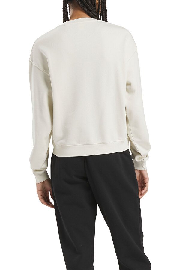 Clothing Reebok Ae Crew Бежевый 003