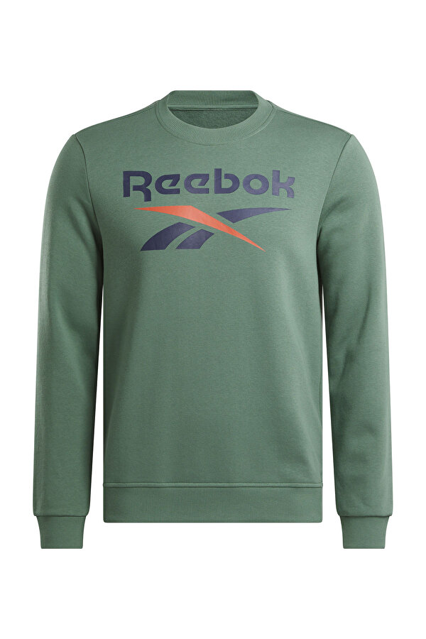 Clothing Reebok Reebok Identity Big Logo Зеленый 010