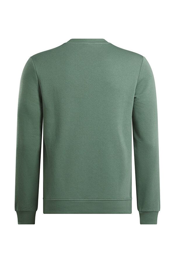 Clothing Reebok Reebok Identity Big Logo Зеленый 010