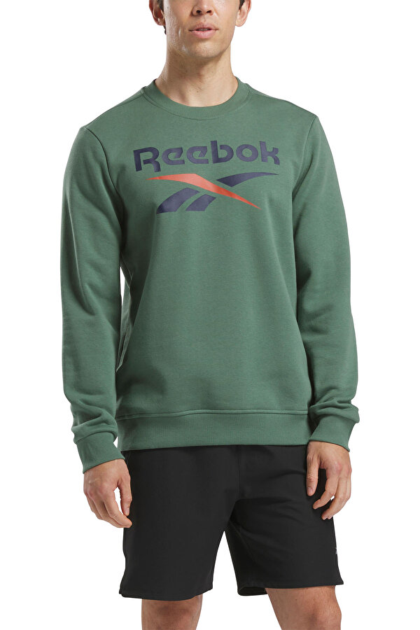 Clothing Reebok Reebok Identity Big Logo Зеленый 010