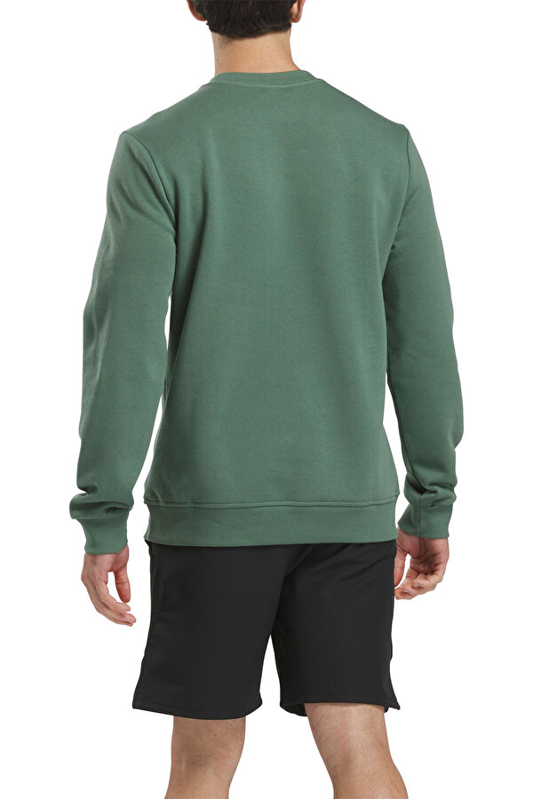 Clothing Reebok Reebok Identity Big Logo Зеленый 010