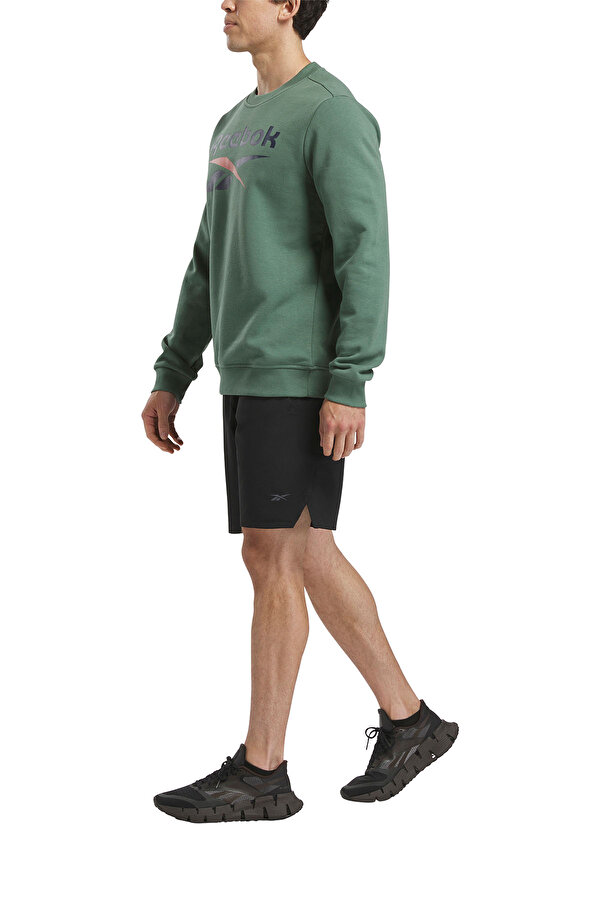 Clothing Reebok Reebok Identity Big Logo Зеленый 010