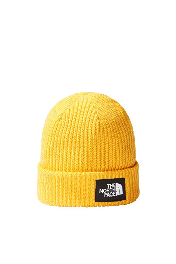 Salty Lined Beanie Unisex Bere