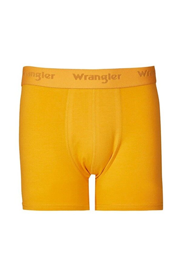 Erkek Turuncu Boxer