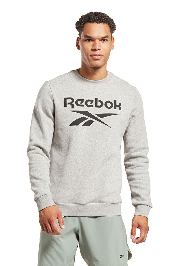 Clothing Reebok Ri Flc Big Logo Crew Серый 014
