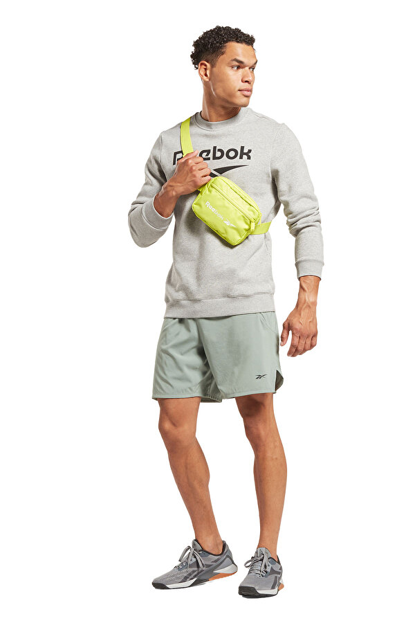 Clothing Reebok Ri Flc Big Logo Crew Серый 014