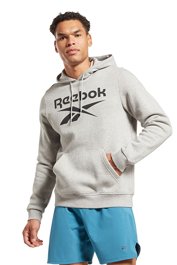 Clothing Reebok Ri Flc Big Logo Hoo Серый 014