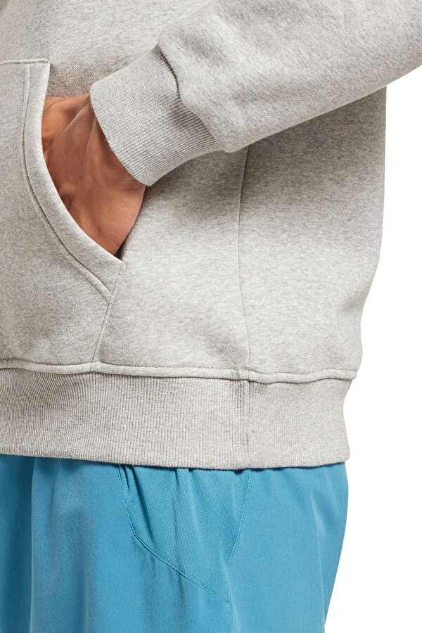 Clothing Reebok Ri Flc Big Logo Hoo Серый 014