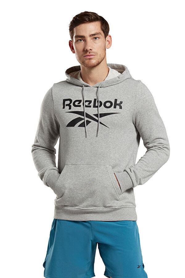 Clothing Reebok Ri Ft Big Logo Oth Hood Серый 014