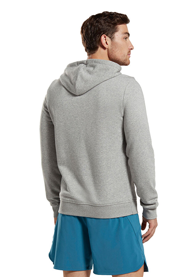 Clothing Reebok Ri Ft Big Logo Oth Hood Серый 014