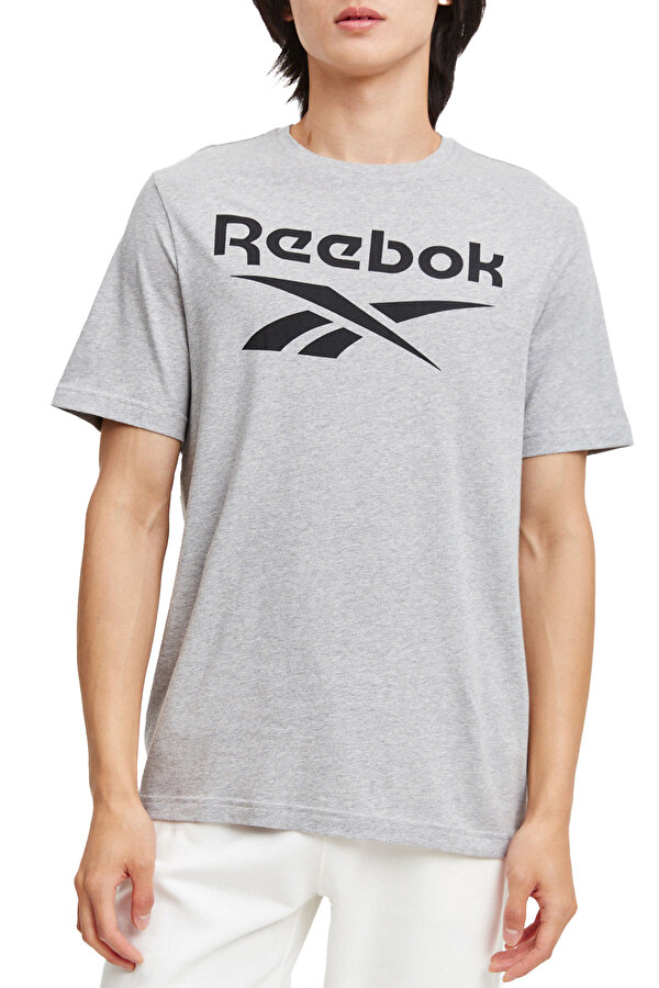 Clothing Reebok Reebok Identity Stacked Серый 014