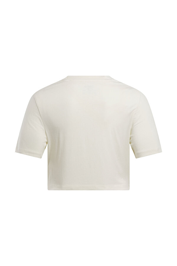 Clothing Reebok Reebok Identity Big Logo Бежевый 003