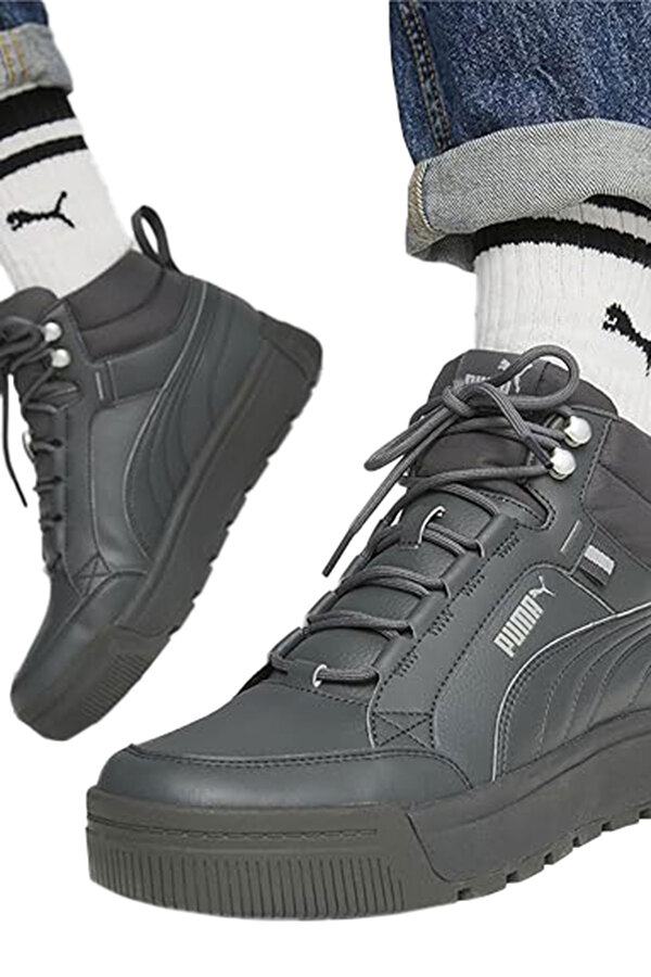 Shoes Puma Tarrenz Sb Iii Toasted-To Серый 023