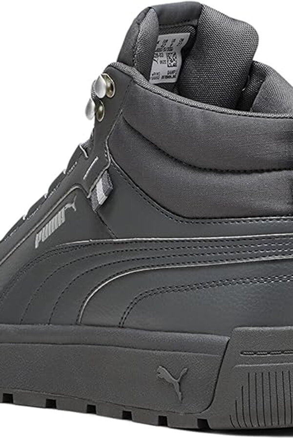 Shoes Puma Tarrenz Sb Iii Toasted-To Серый 023