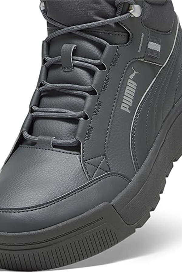 Shoes Puma Tarrenz Sb Iii Toasted-To Серый 023