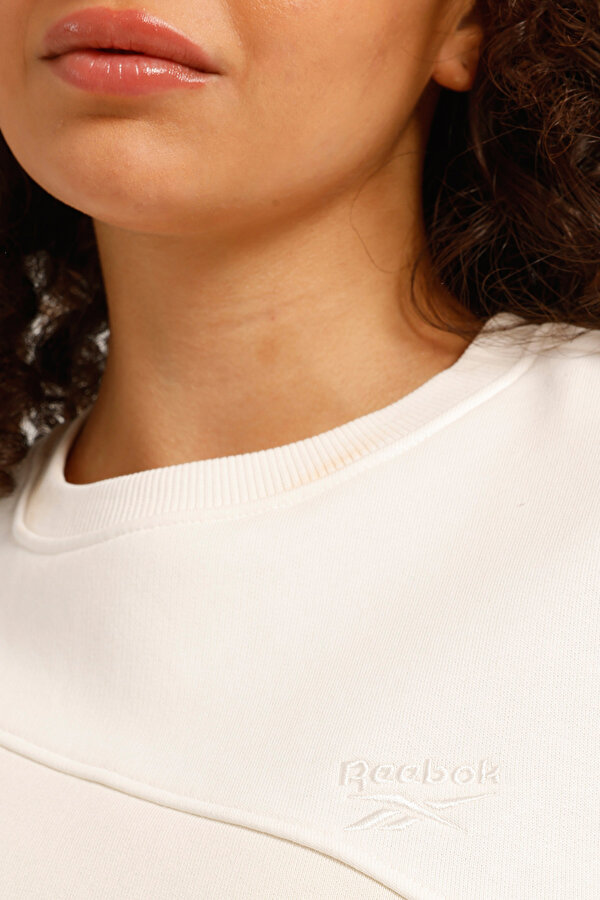 AE VECTOR LAYER Ekru Kadın Sweatshirt