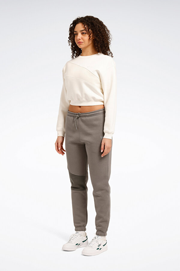 AE VECTOR LAYER Ekru Kadın Sweatshirt