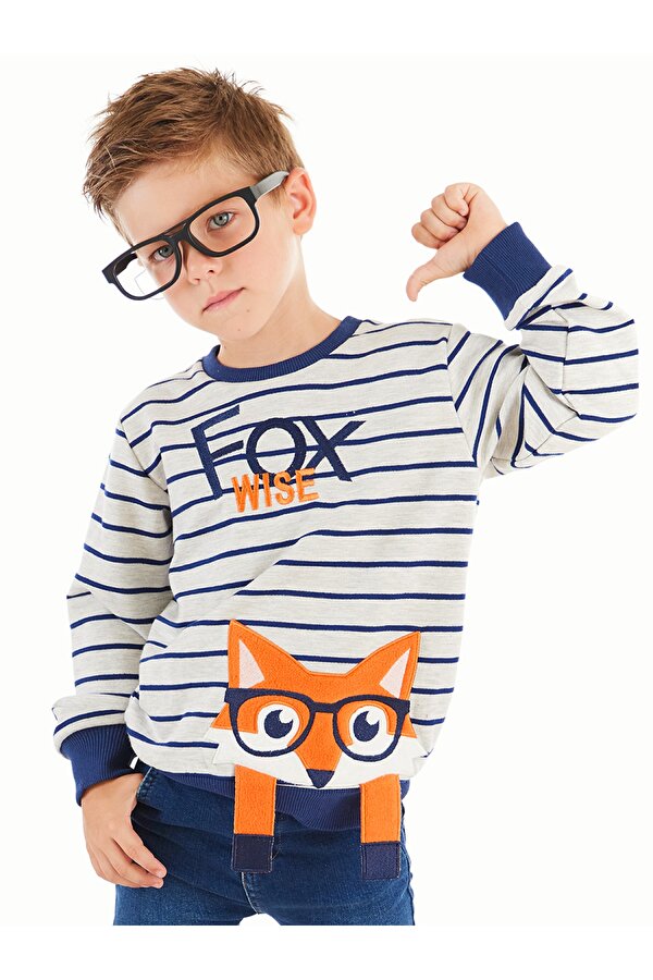 Tilki Çizgili Erkek Çocuk Sweatshirt