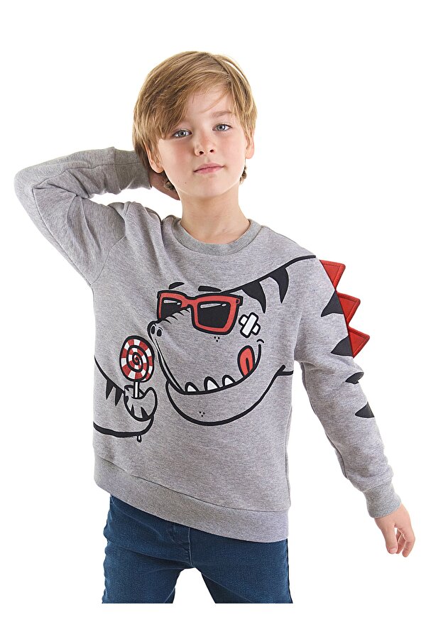 Şekerci Dinozor Erkek Çocuk Gri Sweatshirt