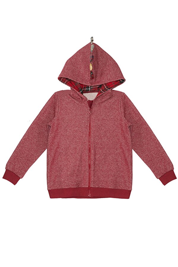 Ejderha Erkek Çocuk Kapişonlu Sweatshirt