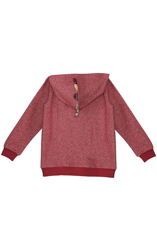 Ejderha Erkek Çocuk Kapişonlu Sweatshirt