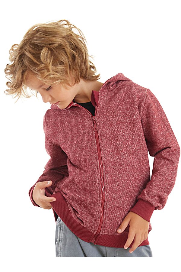 Ejderha Erkek Çocuk Kapişonlu Sweatshirt