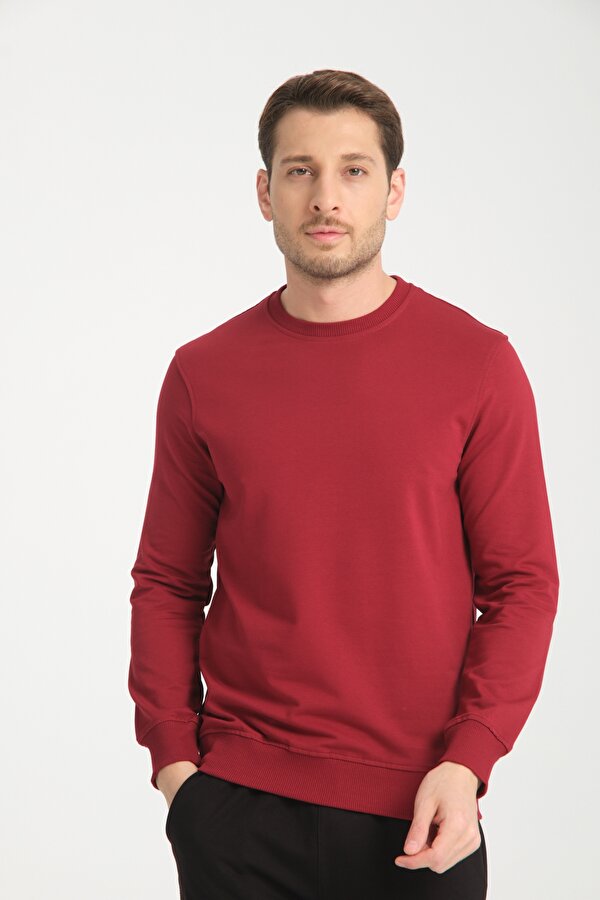 Bisiklet Yaka Basic  İnce Mevsimlik  Sweatshirt RD23YE581001