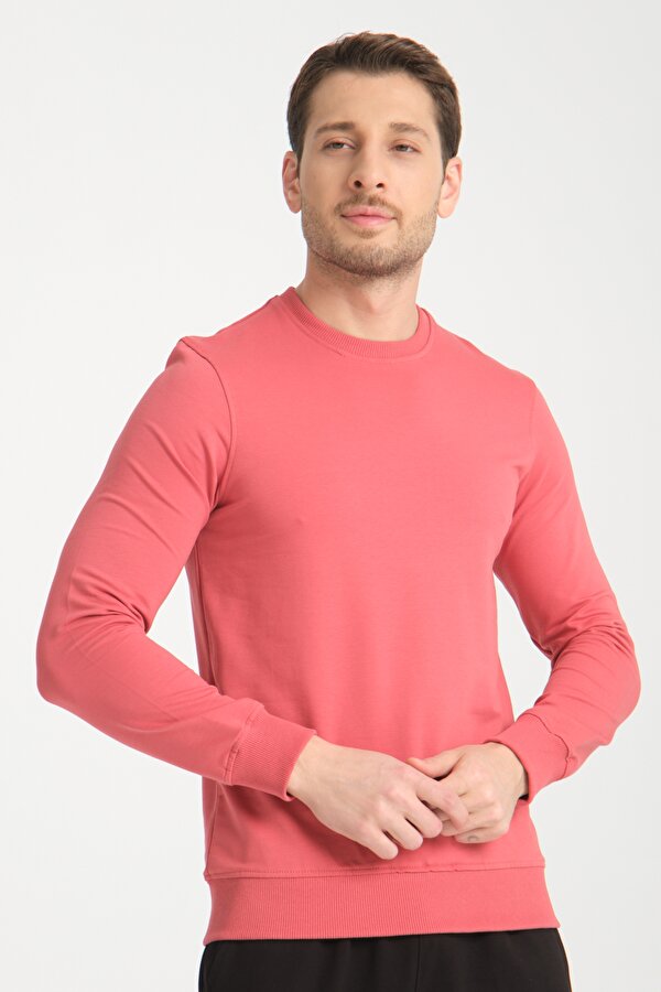 Bisiklet Yaka Basic  İnce Mevsimlik  Sweatshirt RD23YE581001