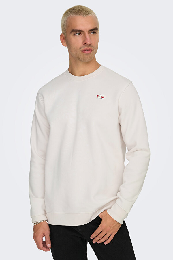 ONSDAWSON REG CREW VD Gri Erkek Sweatshirt