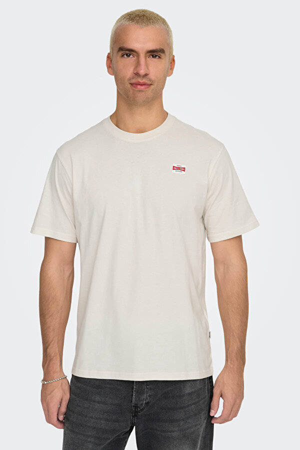 ONSDAWSON REG SS TEE VD Gri Erkek Kısa Kol T-Shirt