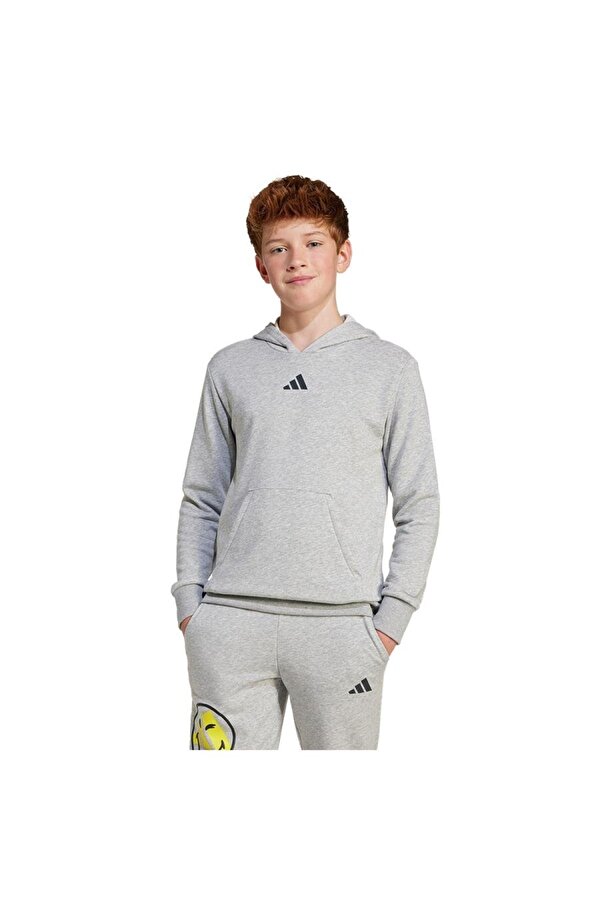 Çocuk  Gri  Sweatshirt J SMI HOODIE JD3288