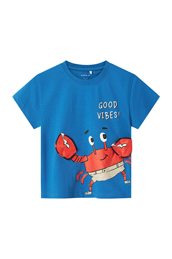 NMMFISH NREG SS TOP BOX Mavi Erkek Çocuk Kısa Kol T-Shirt