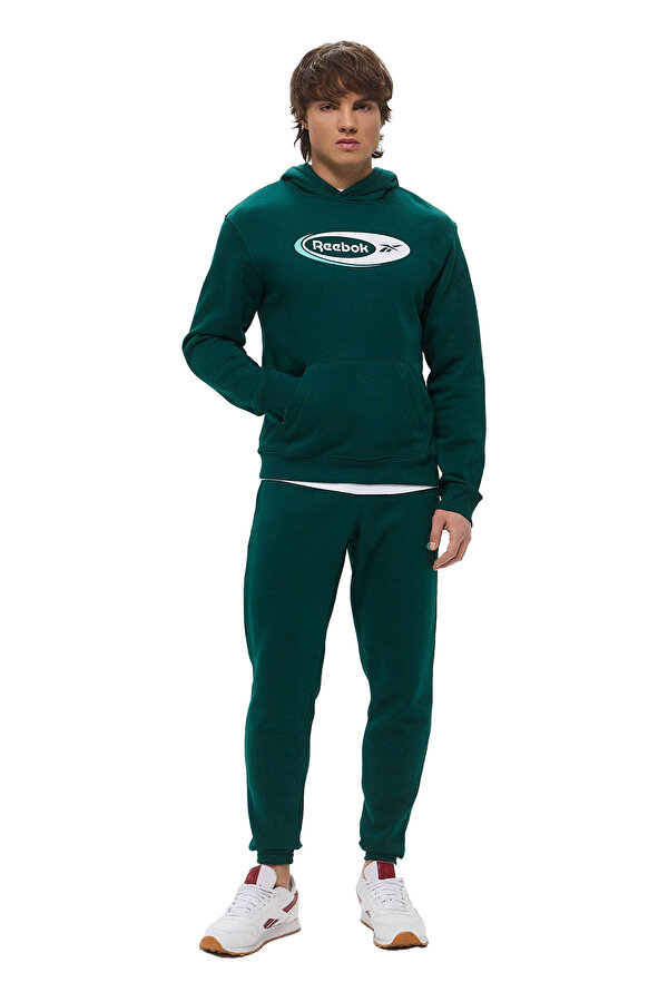 Clothing Reebok Ri Brand Proud Hoodie Зеленый 009