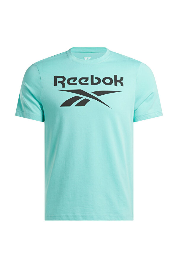 Clothing Reebok Reebok Identity Big Logo Бирюзовый 005