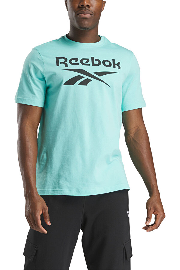 Clothing Reebok Reebok Identity Big Logo Бирюзовый 005