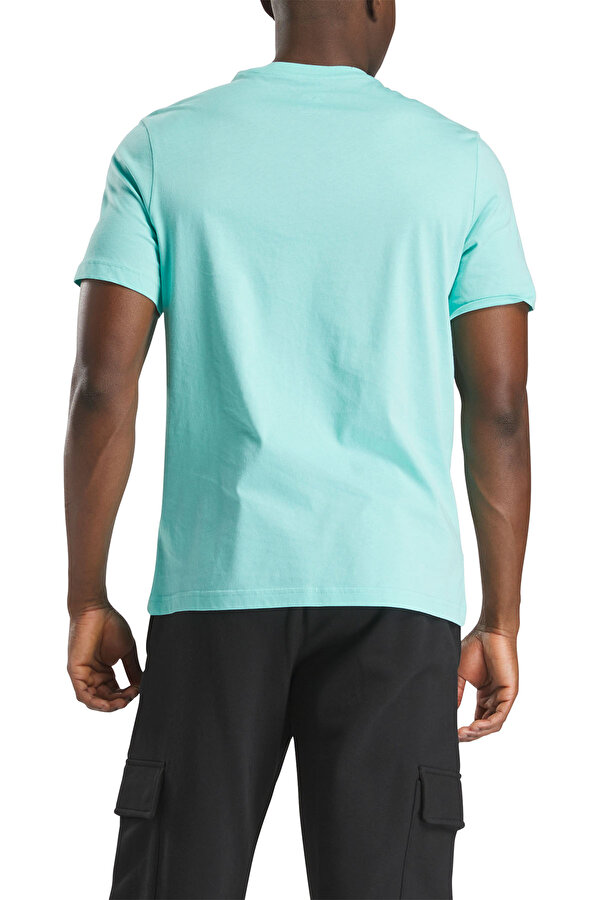 Clothing Reebok Reebok Identity Big Logo Бирюзовый 005