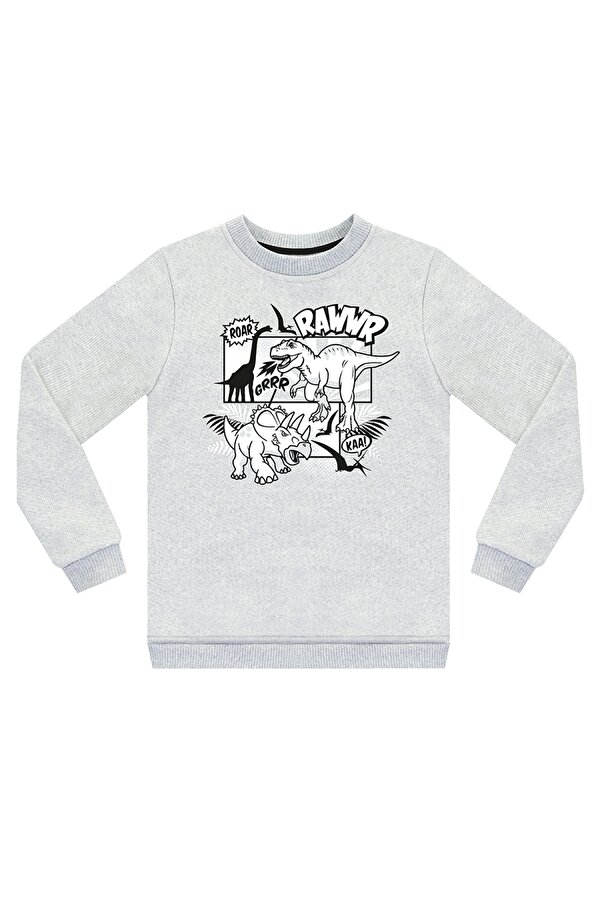 Rawr Dino Erkek Çocuk Gri Melanj Sweatshirt