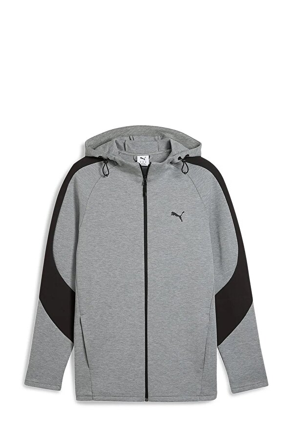 EVOSTRIPE Core FZ Hoodie Gri Erkek Sweatshirt