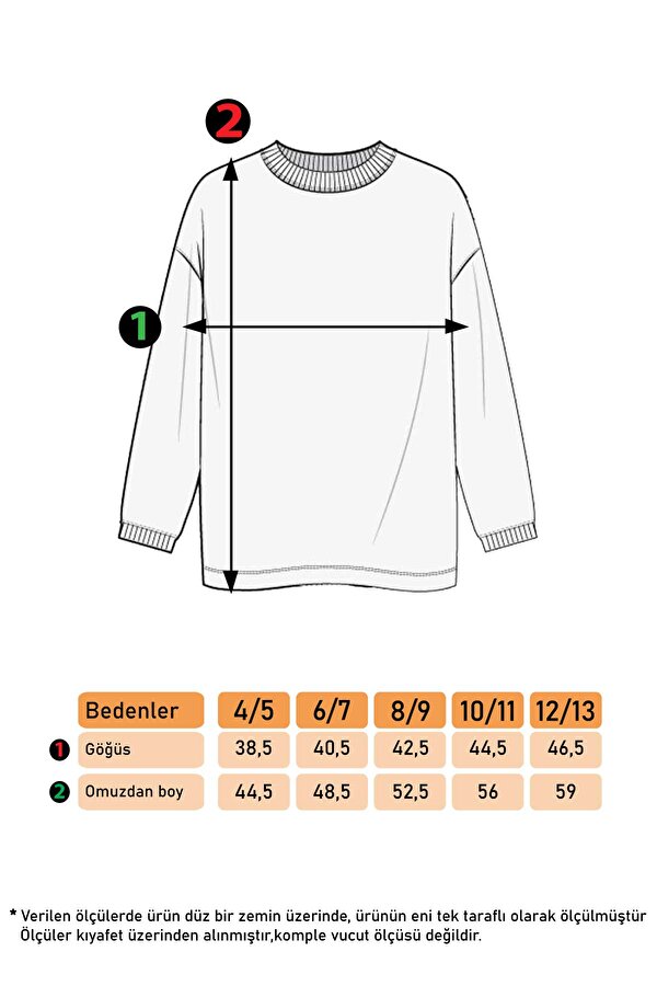 Toontoy Kız Çocuk Peluş Detaylı Baskılı Sweatshirt