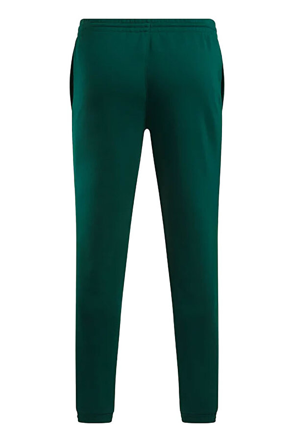 Clothing Reebok Ri Brand Proud Pant Зеленый 009