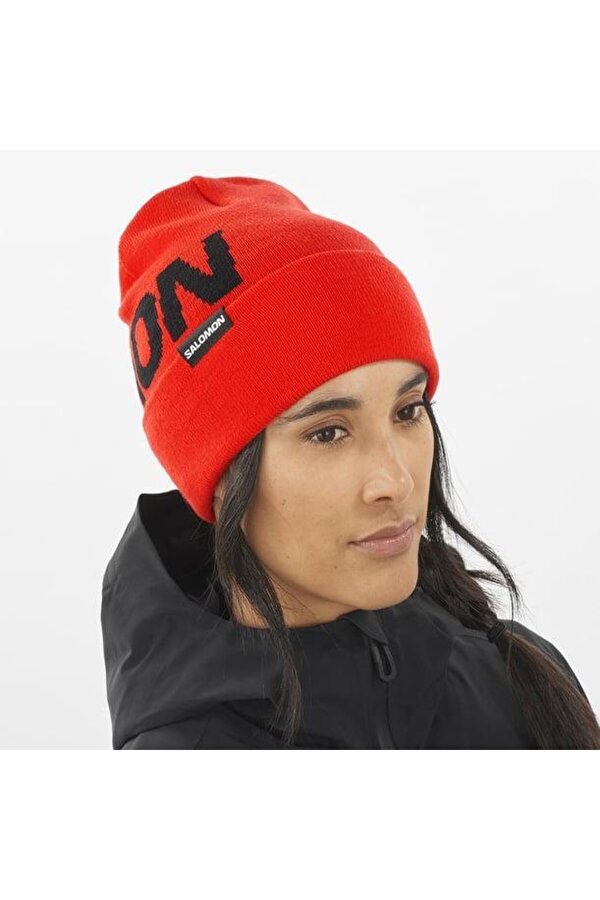 Hermitage Beanie Unisex Bere
