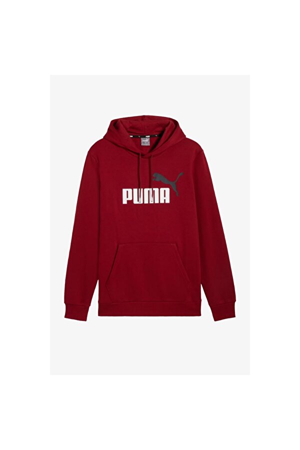 Ess+ 2 Col Big Logo Hoodie