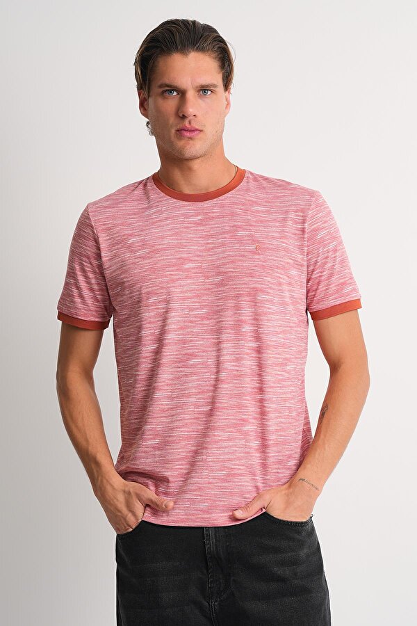 ALEXANDERGARDI Melanj Desenli Bisiklet Yaka T-shirt
