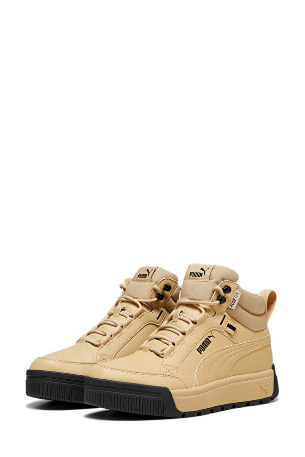 Shoes Puma Tarrenz Sb Iii Puretex Бежевый